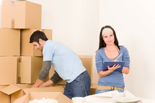 Professional van transport for furniture and belongings